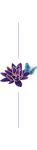 water purple lily with blue butterfly graphic decorative.