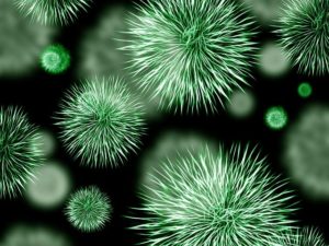 Up close image of spiky bacteria that is green.